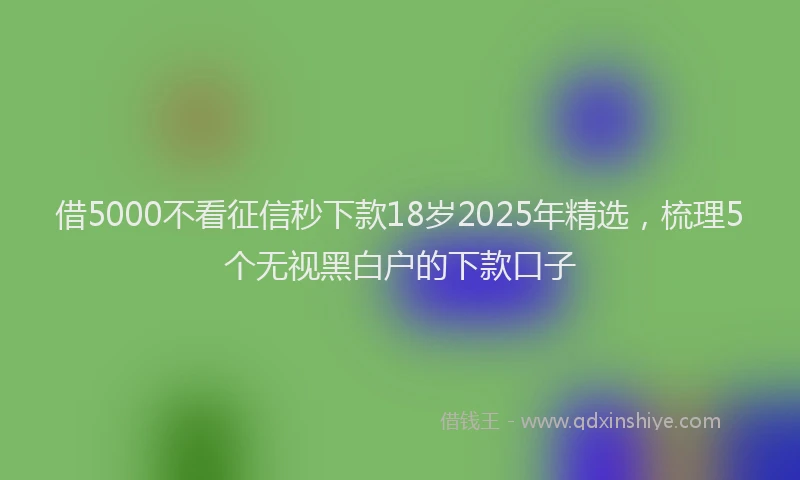 借5000不看征信秒下款18岁2025年精选，梳理5个无视黑白户的下款口子