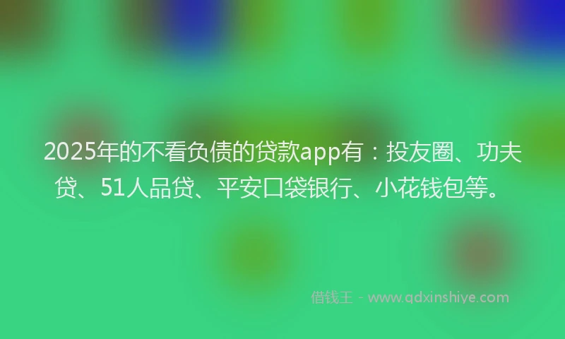 2025年的不看负债的贷款app有：投友圈、功夫贷、51人品贷、平安口袋银行、小花钱包等。