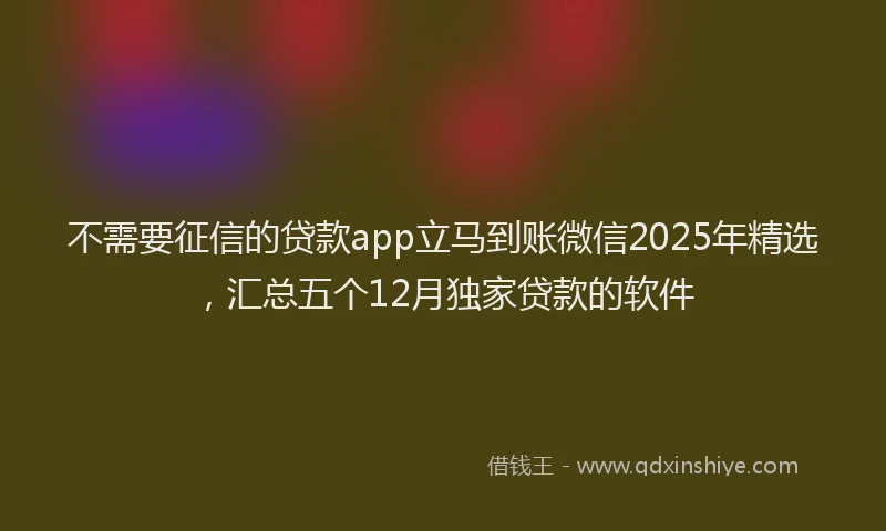 不需要征信的贷款app立马到账微信2025年精选，汇总五个12月独家贷款的软件
