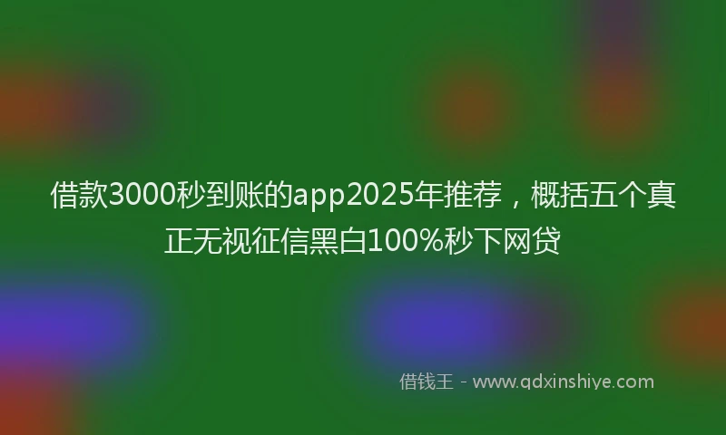借款3000秒到账的app2025年推荐，概括五个真正无视征信黑白100%秒下网贷