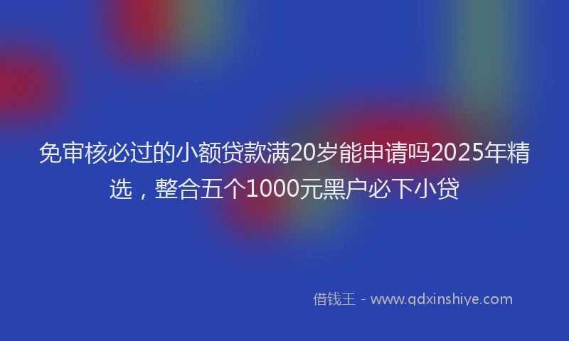 免审核必过的小额贷款满20岁能申请吗2025年精选，整合五个1000元黑户必下小贷