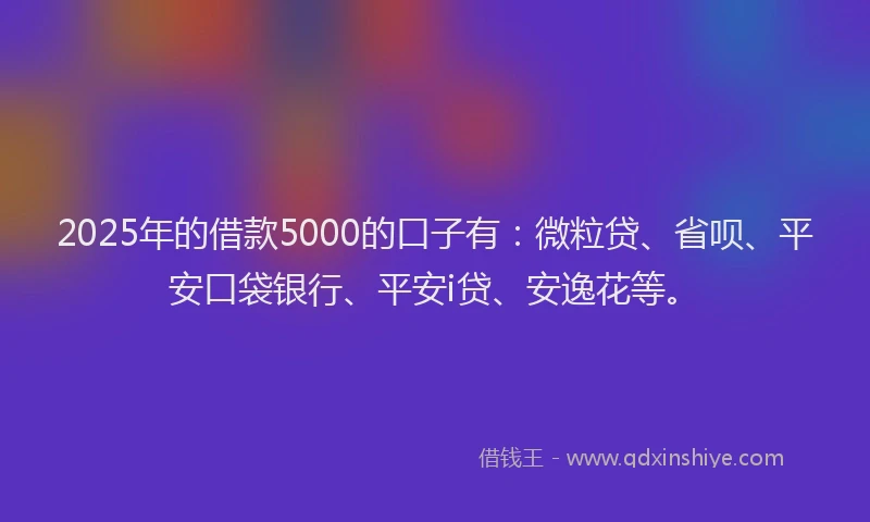 2025年的借款5000的口子有：微粒贷、省呗、平安口袋银行、平安i贷、安逸花等。
