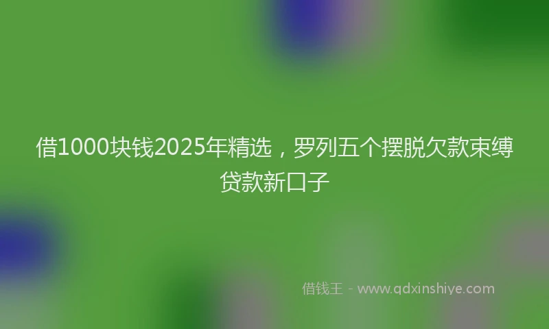借1000块钱2025年精选，罗列五个摆脱欠款束缚贷款新口子