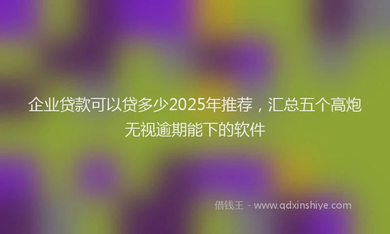 企业贷款可以贷多少2025年推荐，汇总五个高炮无视逾期能下的软件