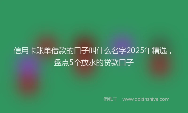 信用卡账单借款的口子叫什么名字2025年精选，盘点5个放水的贷款口子