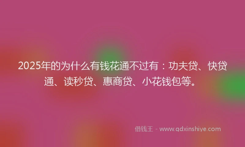 2025年的为什么有钱花通不过有：功夫贷、快贷通、读秒贷、惠商贷、小花钱包等。