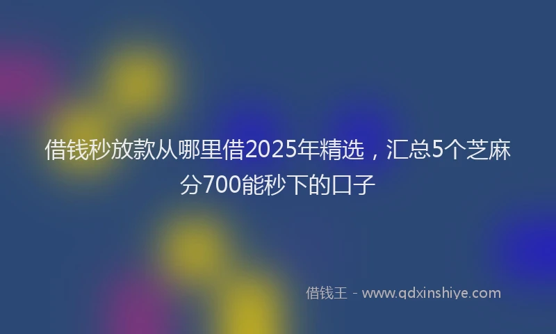 借钱秒放款从哪里借2025年精选，汇总5个芝麻分700能秒下的口子