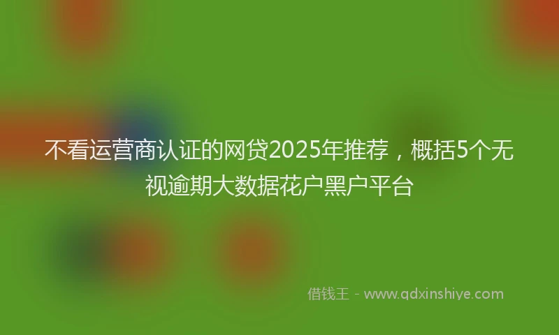 不看运营商认证的网贷2025年推荐，概括5个无视逾期大数据花户黑户平台