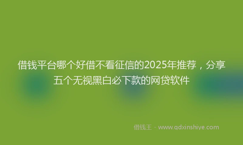 借钱平台哪个好借不看征信的2025年推荐，分享五个无视黑白必下款的网贷软件