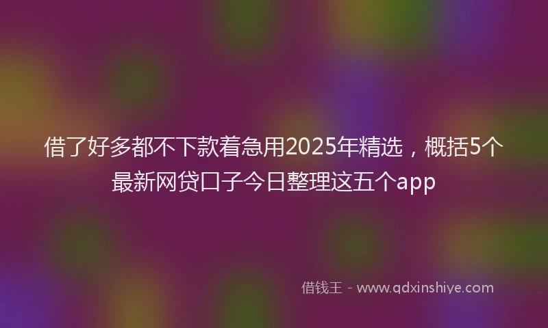借了好多都不下款着急用2025年精选，概括5个最新网贷口子今日整理这五个app