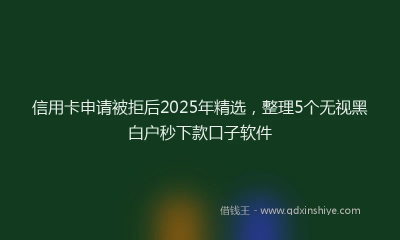信用卡申请被拒后2025年精选，整理5个无视黑白户秒下款口子软件