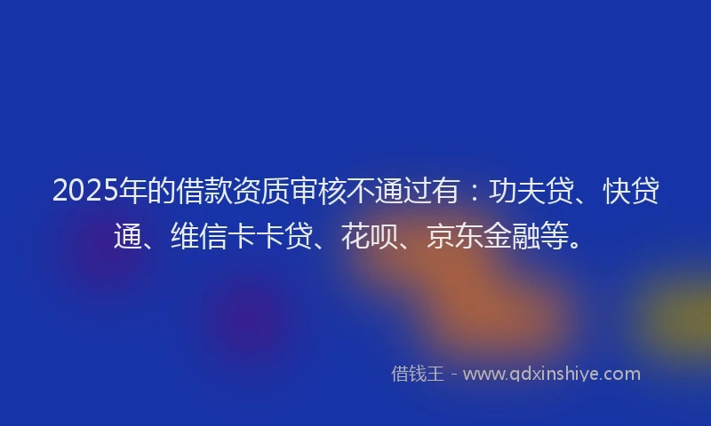 2025年的借款资质审核不通过有：功夫贷、快贷通、维信卡卡贷、花呗、京东金融等。