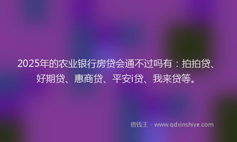 2025年的农业银行房贷会通不过吗有：拍拍贷、好期贷、惠商贷、平安i贷、我来贷等。
