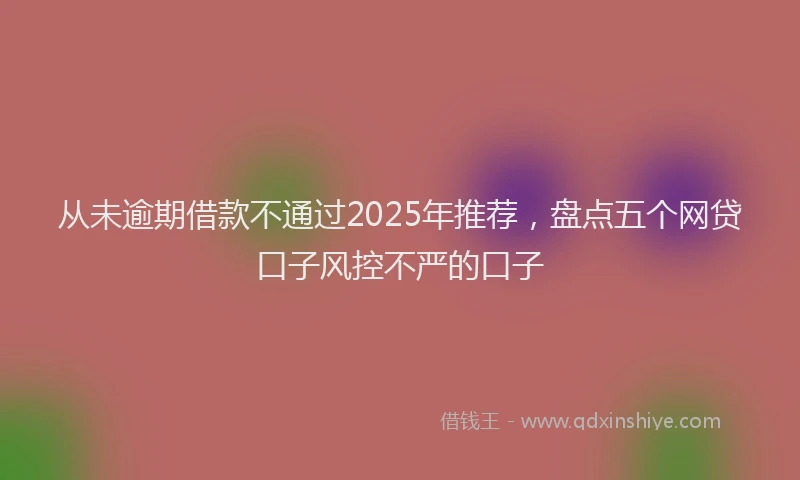 从未逾期借款不通过2025年推荐，盘点五个网贷口子风控不严的口子