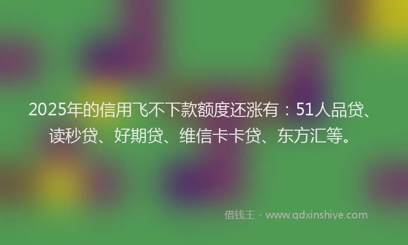 2025年的信用飞不下款额度还涨有：51人品贷、读秒贷、好期贷、维信卡卡贷、东方汇等。