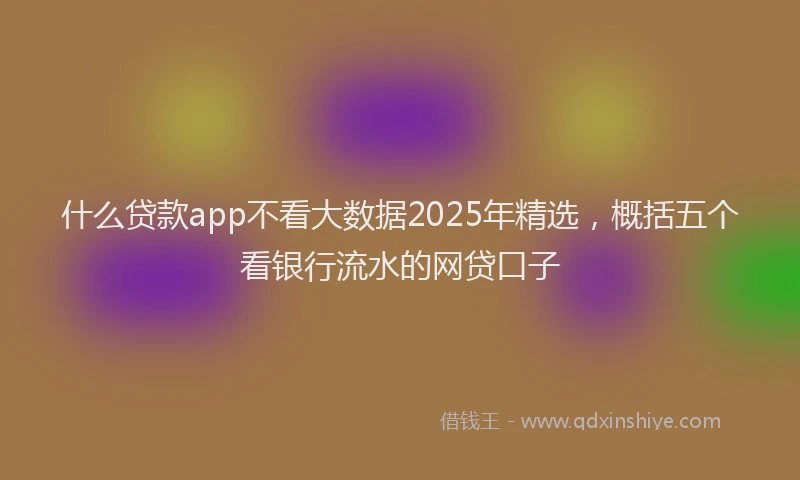 什么贷款app不看大数据2025年精选，概括五个看银行流水的网贷口子