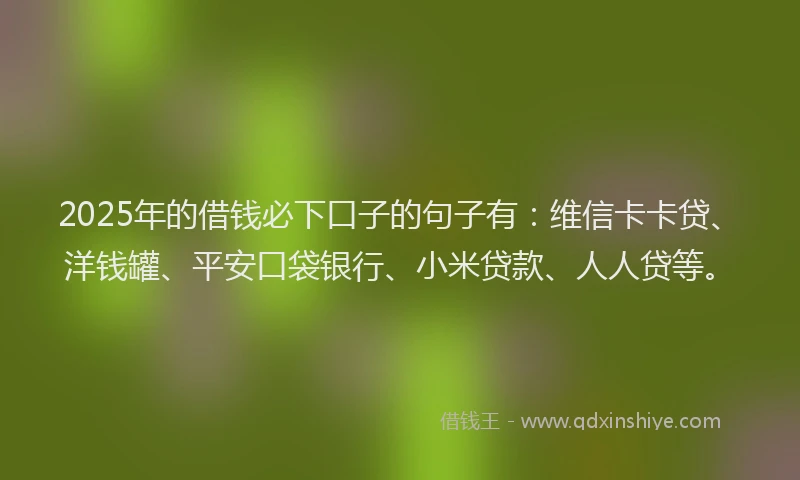 2025年的借钱必下口子的句子有：维信卡卡贷、洋钱罐、平安口袋银行、小米贷款、人人贷等。