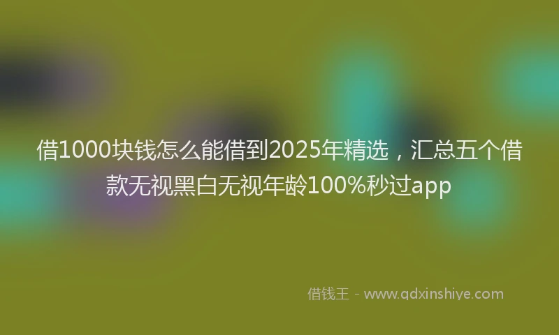 借1000块钱怎么能借到2025年精选，汇总五个借款无视黑白无视年龄100%秒过app