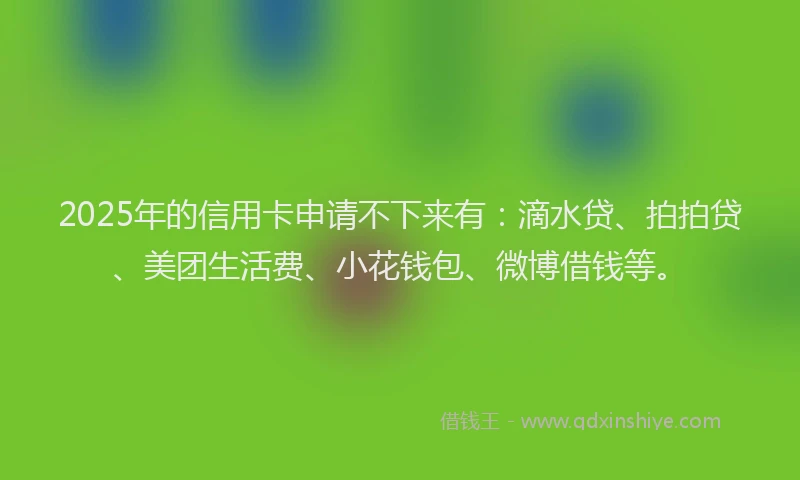 2025年的信用卡申请不下来有：滴水贷、拍拍贷、美团生活费、小花钱包、微博借钱等。