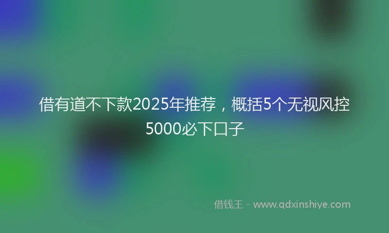 借有道不下款2025年推荐，概括5个无视风控5000必下口子