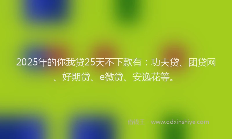 2025年的你我贷25天不下款有：功夫贷、团贷网、好期贷、e微贷、安逸花等。