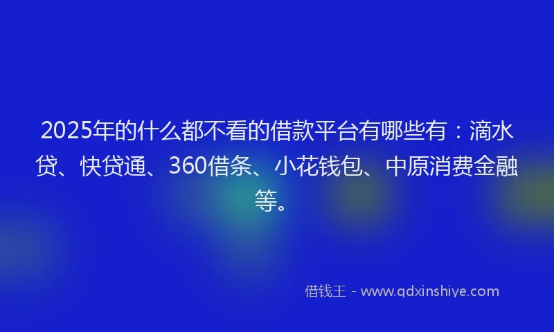 2025年的什么都不看的借款平台有哪些有：滴水贷、快贷通、360借条、小花钱包、中原消费金融等。