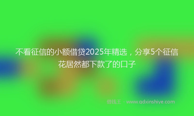 不看征信的小额借贷2025年精选，分享5个征信花居然都下款了的口子