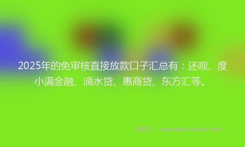 2025年的免审核直接放款口子汇总有：还呗、度小满金融、滴水贷、惠商贷、东方汇等。
