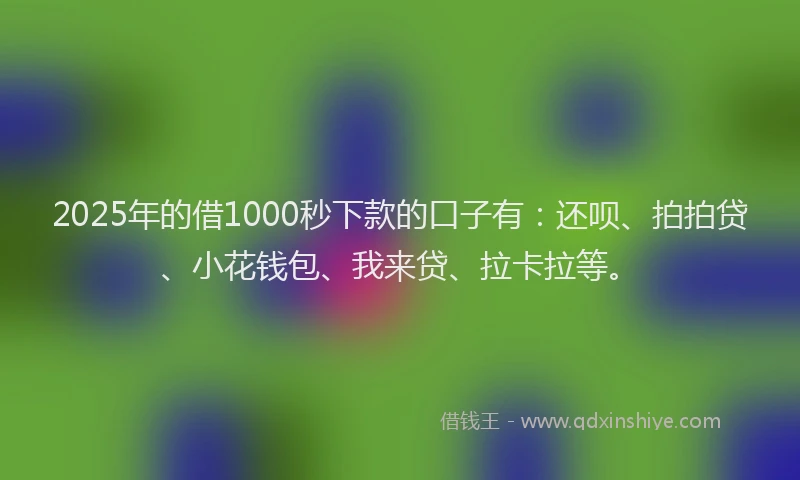 2025年的借1000秒下款的口子有：还呗、拍拍贷、小花钱包、我来贷、拉卡拉等。
