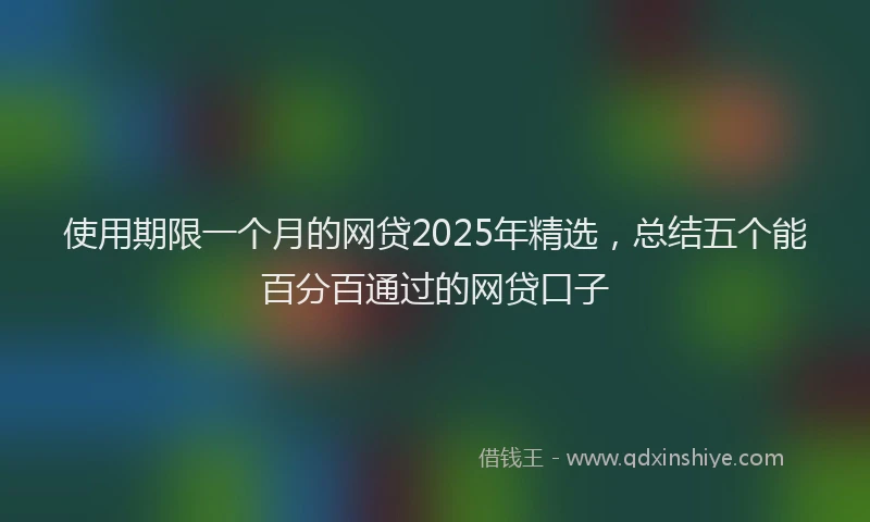 使用期限一个月的网贷2025年精选，总结五个能百分百通过的网贷口子