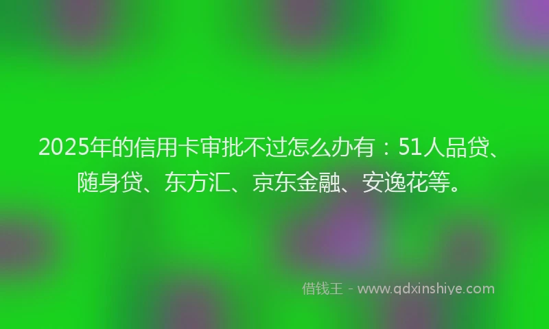 2025年的信用卡审批不过怎么办有：51人品贷、随身贷、东方汇、京东金融、安逸花等。