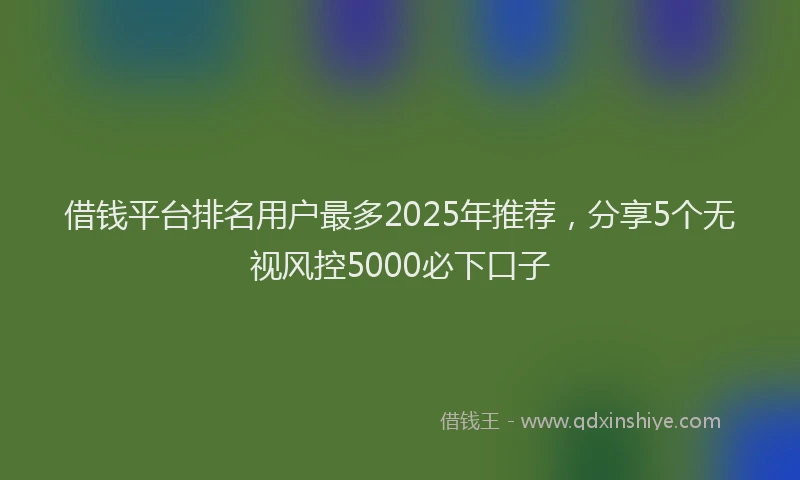 借钱平台排名用户最多2025年推荐，分享5个无视风控5000必下口子