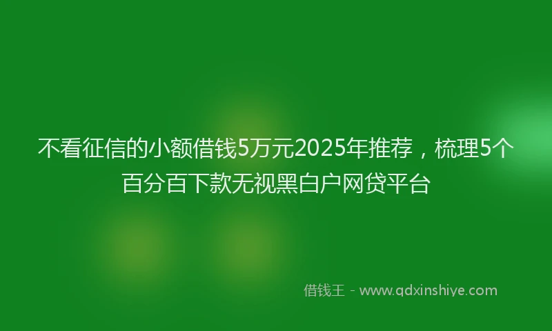 不看征信的小额借钱5万元2025年推荐，梳理5个百分百下款无视黑白户网贷平台