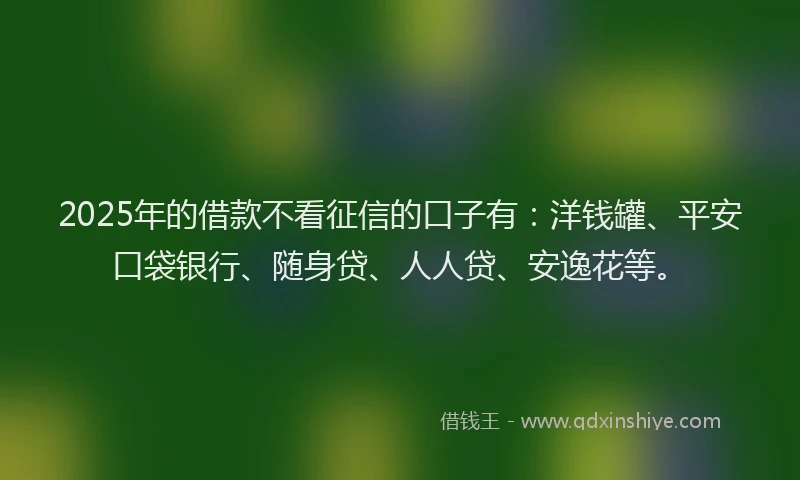 2025年的借款不看征信的口子有：洋钱罐、平安口袋银行、随身贷、人人贷、安逸花等。