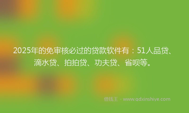 2025年的免审核必过的贷款软件有：51人品贷、滴水贷、拍拍贷、功夫贷、省呗等。