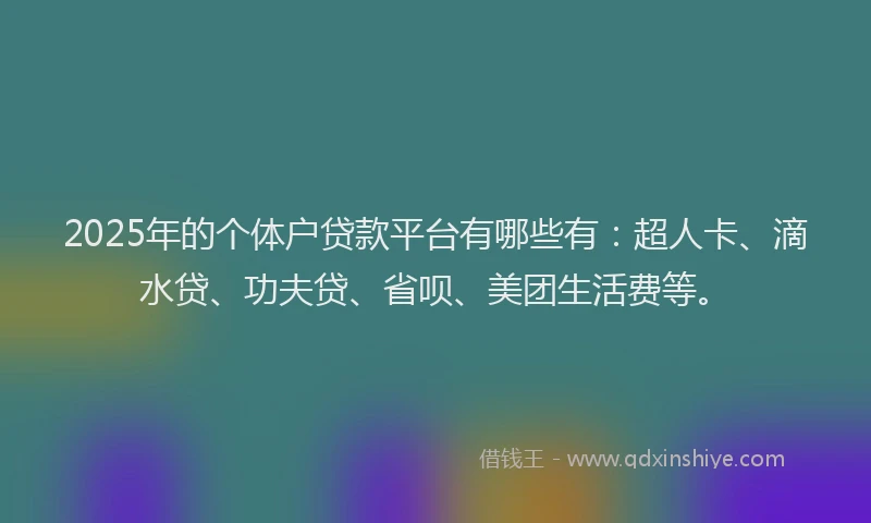 2025年的个体户贷款平台有哪些有：超人卡、滴水贷、功夫贷、省呗、美团生活费等。