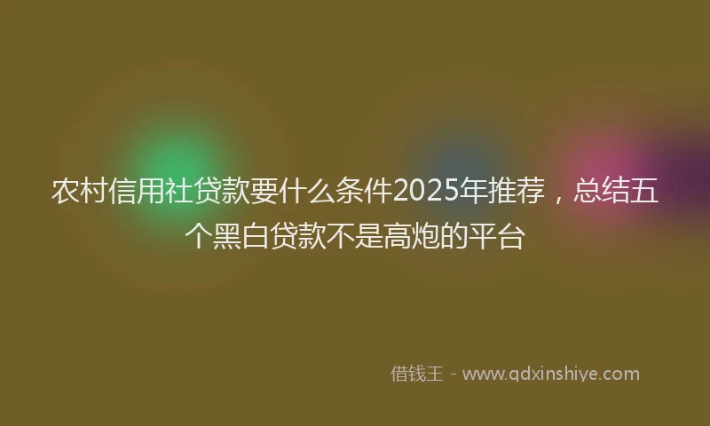 农村信用社贷款要什么条件2025年推荐，总结五个黑白贷款不是高炮的平台