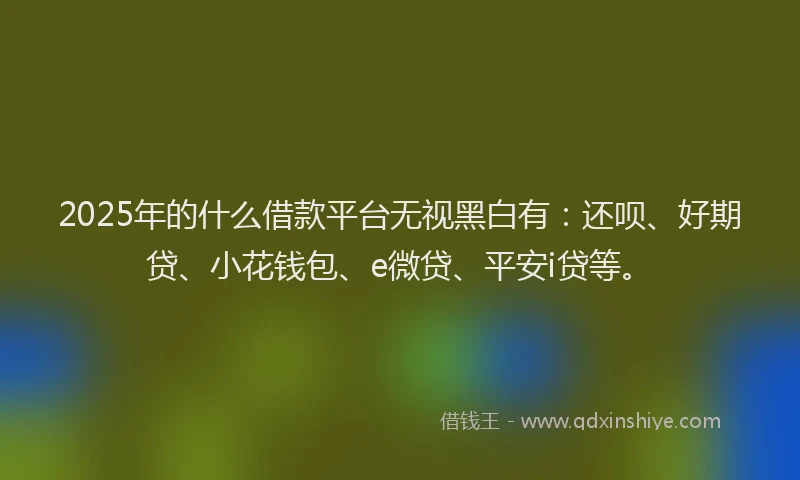 2025年的什么借款平台无视黑白有：还呗、好期贷、小花钱包、e微贷、平安i贷等。