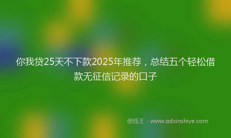你我贷25天不下款2025年推荐，总结五个轻松借款无征信记录的口子