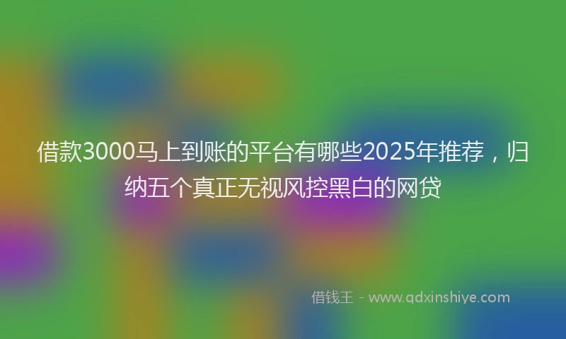 借款3000马上到账的平台有哪些2025年推荐，归纳五个真正无视风控黑白的网贷