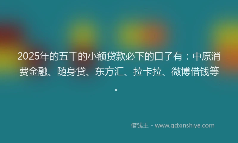 2025年的五千的小额贷款必下的口子有：中原消费金融、随身贷、东方汇、拉卡拉、微博借钱等。