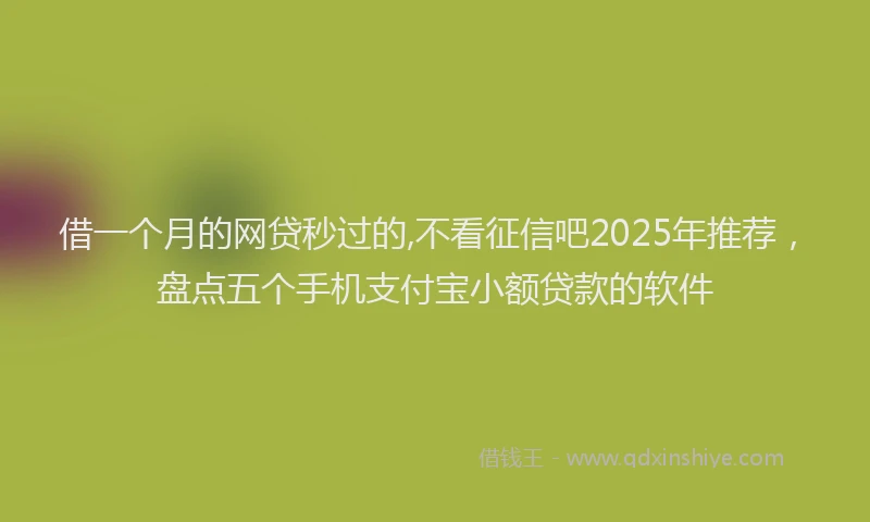 借一个月的网贷秒过的,不看征信吧2025年推荐，盘点五个手机支付宝小额贷款的软件