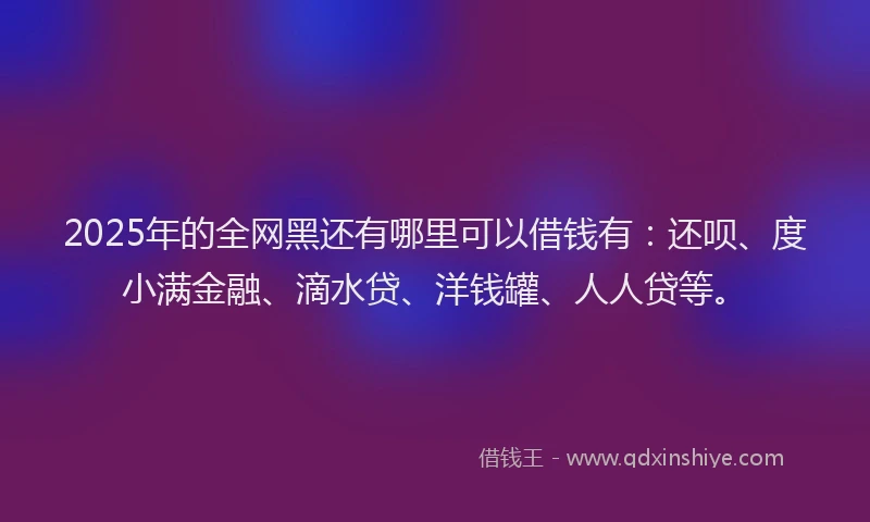2025年的全网黑还有哪里可以借钱有：还呗、度小满金融、滴水贷、洋钱罐、人人贷等。