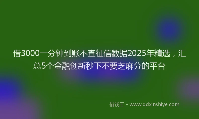 借3000一分钟到账不查征信数据2025年精选，汇总5个金融创新秒下不要芝麻分的平台