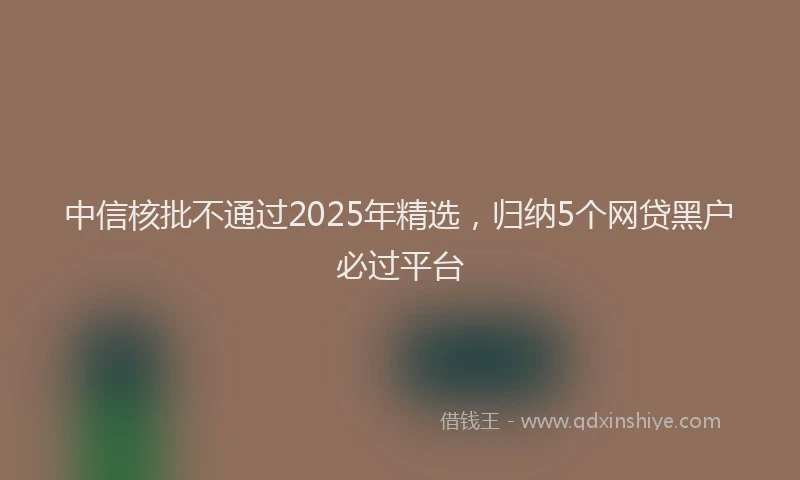 中信核批不通过2025年精选，归纳5个网贷黑户必过平台