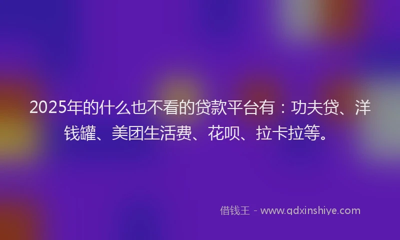 2025年的什么也不看的贷款平台有：功夫贷、洋钱罐、美团生活费、花呗、拉卡拉等。