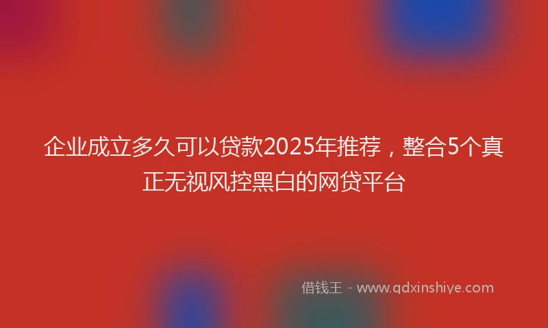 企业成立多久可以贷款2025年推荐，整合5个真正无视风控黑白的网贷平台