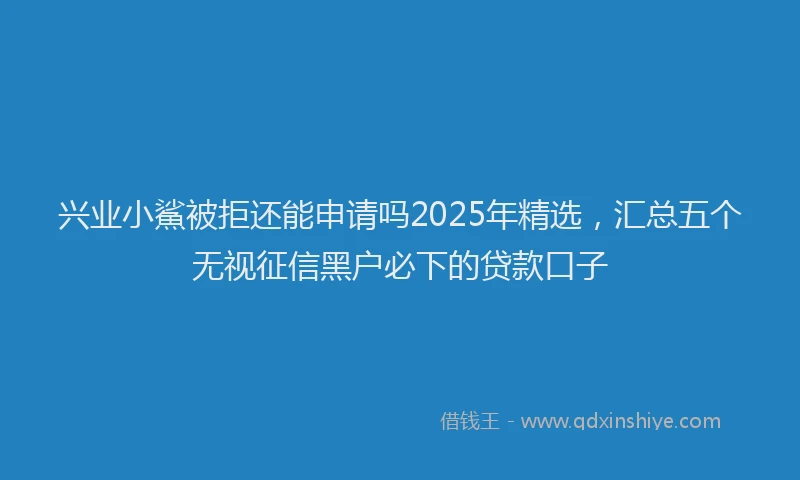 兴业小鯊被拒还能申请吗2025年精选，汇总五个无视征信黑户必下的贷款口子
