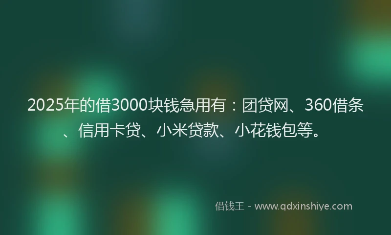 2025年的借3000块钱急用有：团贷网、360借条、信用卡贷、小米贷款、小花钱包等。