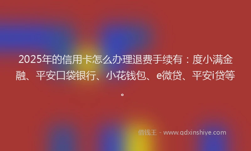2025年的信用卡怎么办理退费手续有：度小满金融、平安口袋银行、小花钱包、e微贷、平安i贷等。